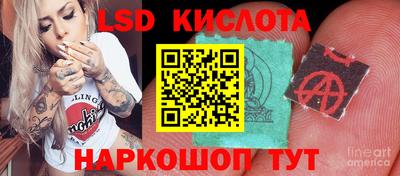 СК Будённовск