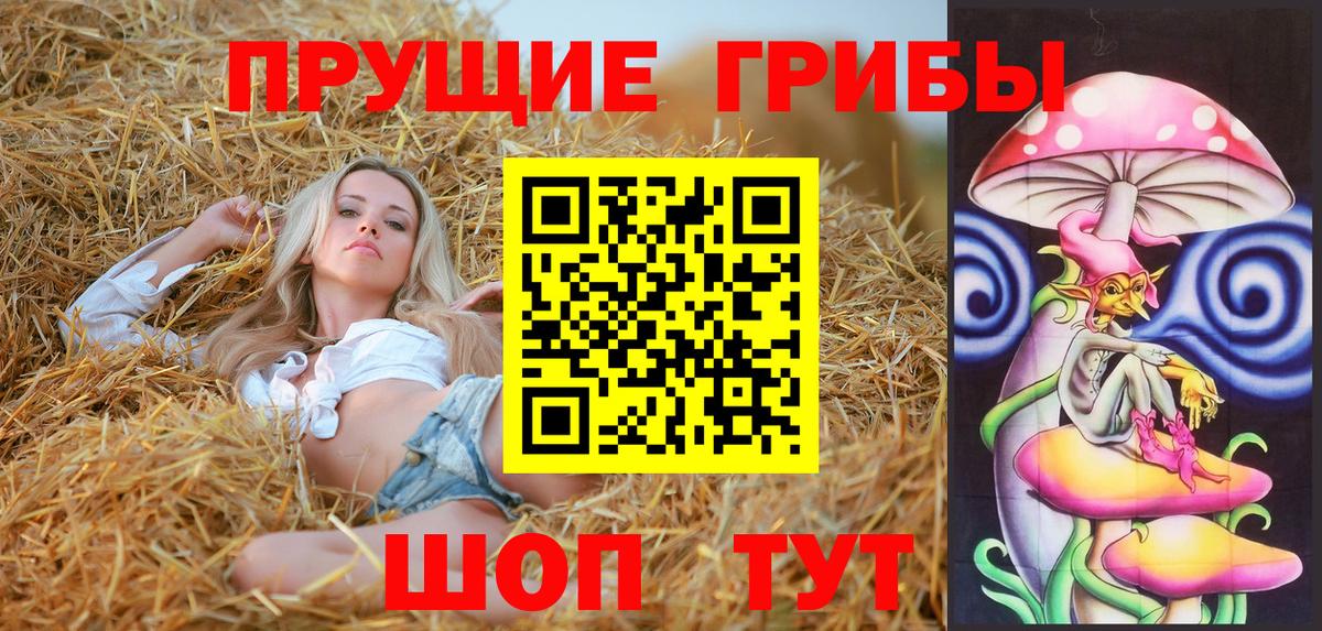 Северобайкальск  Галлюциногенные грибы GOLDEN TEACHER  Вход с VPN 